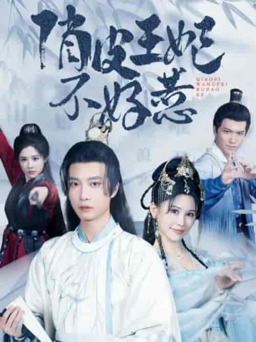 俏皮王妃不好惹（96集）邹漪琳 汪子夕-紫橙资源网