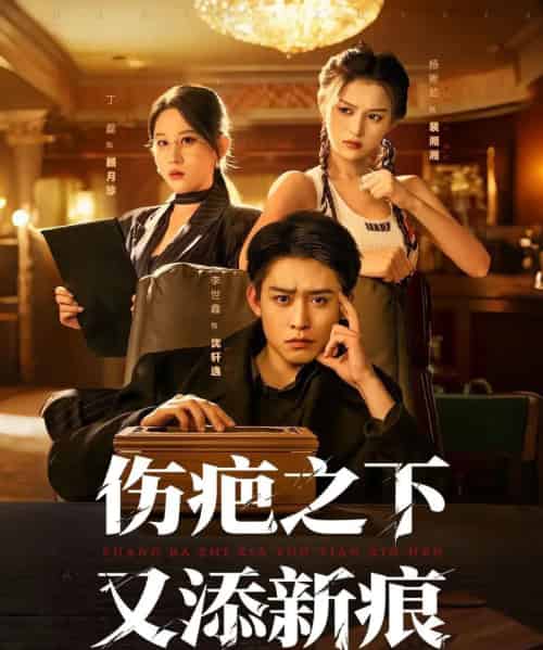 伤疤之下又添新痕（60集全）李世鑫＆丁磊-紫橙资源网