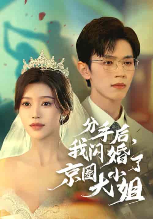 分手后,我闪婚了京圈大小姐(37集全)陆云川&严梦涵-紫橙资源网