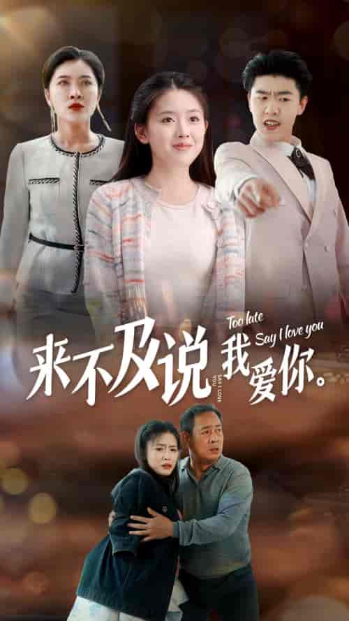 来不及说我爱你（66集）-紫橙资源网