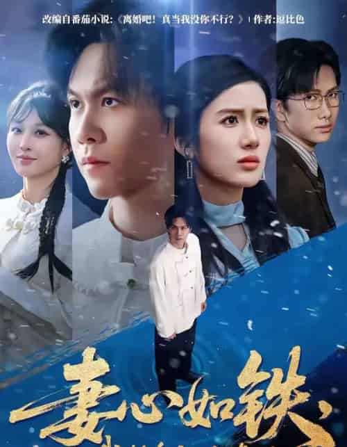 妻心如铁，我转身离婚修仙（81集全）陈景霖＆陈丹-紫橙资源网