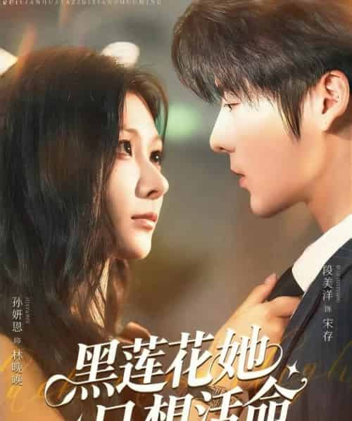 黑莲花她只想活命(60集)段美洋&孙妍恩-紫橙资源网