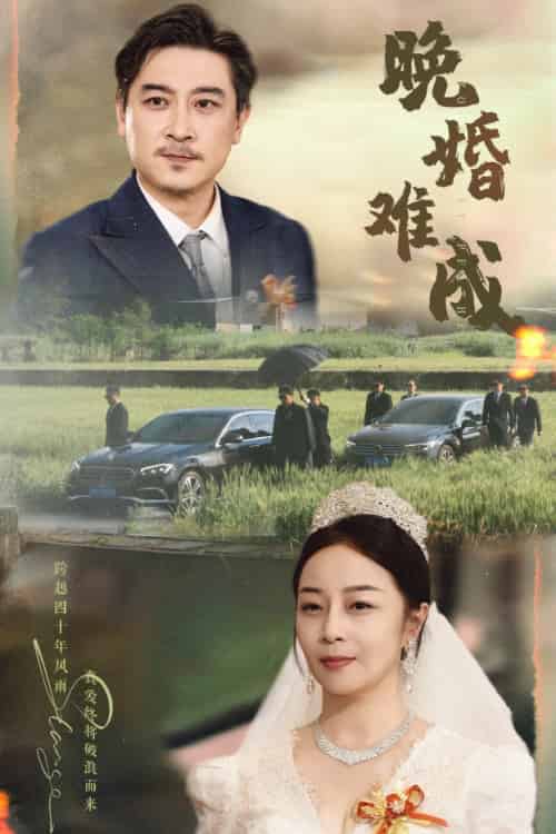 晚婚难成 晚婚难成