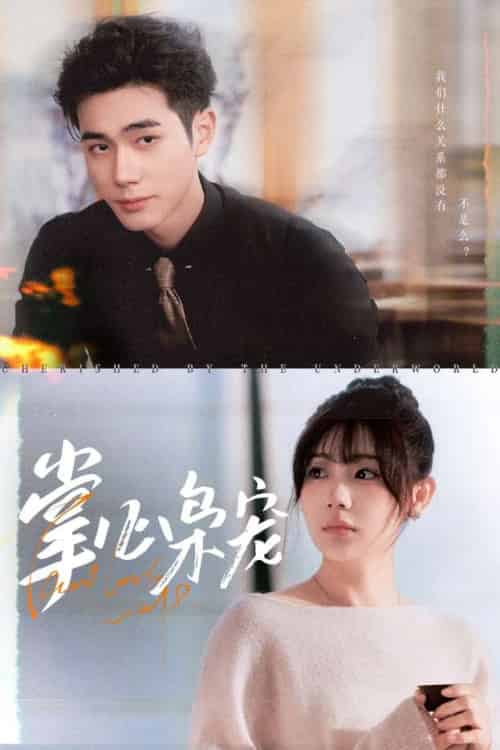 掌心枭宠(100集)李铂一&田园-紫橙资源网