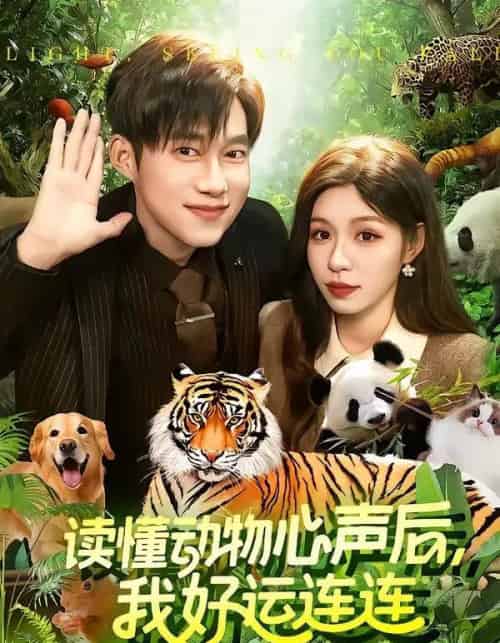 读懂动物心声后，我好运连连（121集全）王大钱＆朱佳琪-紫橙资源网