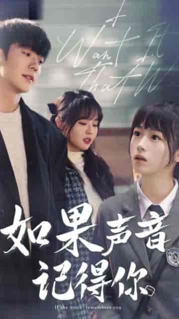 如果声音记得你(长篇)-紫橙资源网