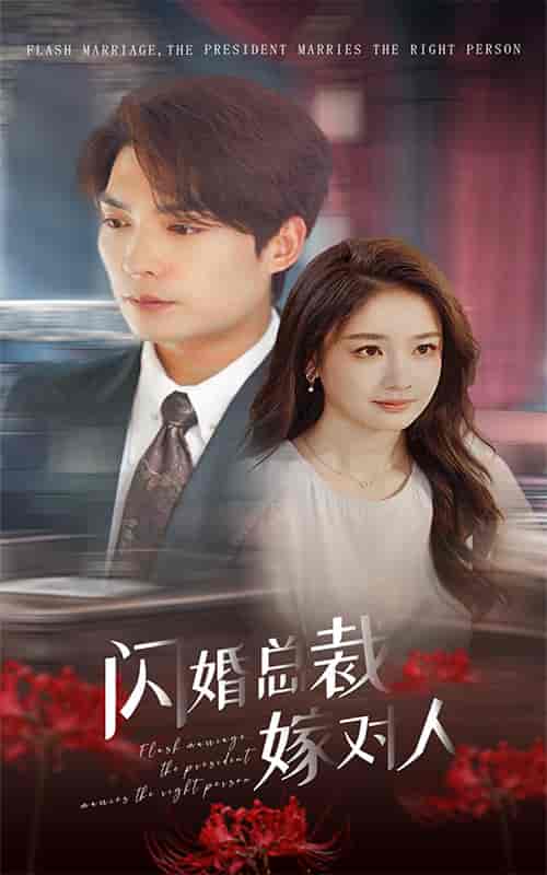 闪婚总裁嫁对人（30集）-紫橙资源网
