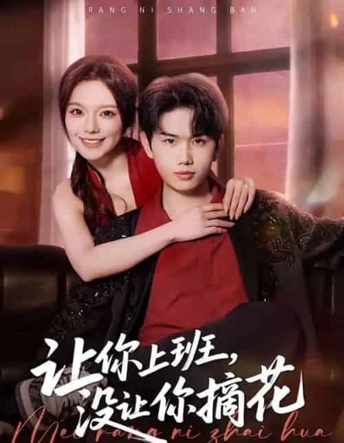让你上班，没让你摘花（70集全）王凯波＆王若妍＆陈有晴-紫橙资源网