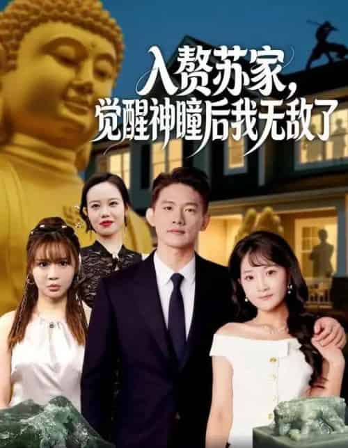 入赘苏家,觉醒神瞳后我无敌了(80集全)梁溪&朱信宗-紫橙资源网