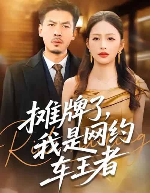 摊牌了，我是网约车王者（75集全）黄斯琪＆王辉-紫橙资源网