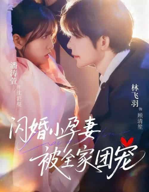 闪婚小孕妻被全家团宠（59集全）林飞羽＆潘涛萱-紫橙资源网