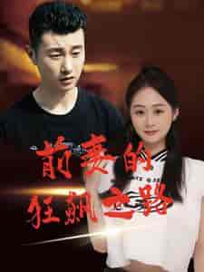 前妻的狂飙之路(92集)-紫橙资源网