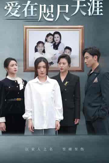 爱在咫尺天涯(90集)-紫橙资源网