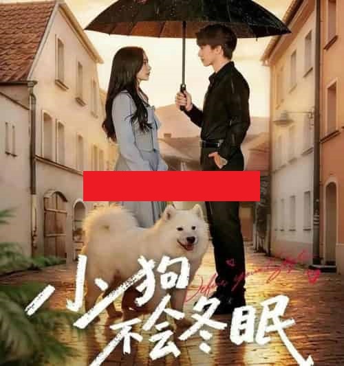 小狗不会冬眠（70集全）张皓文＆乔槿-紫橙资源网