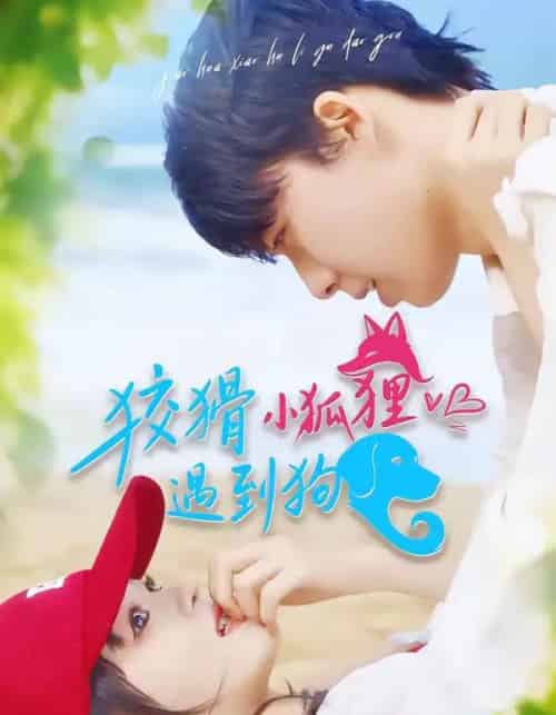 狡猾小狐狸遇到狗(80集全)刘成林&彭洋洋-紫橙资源网
