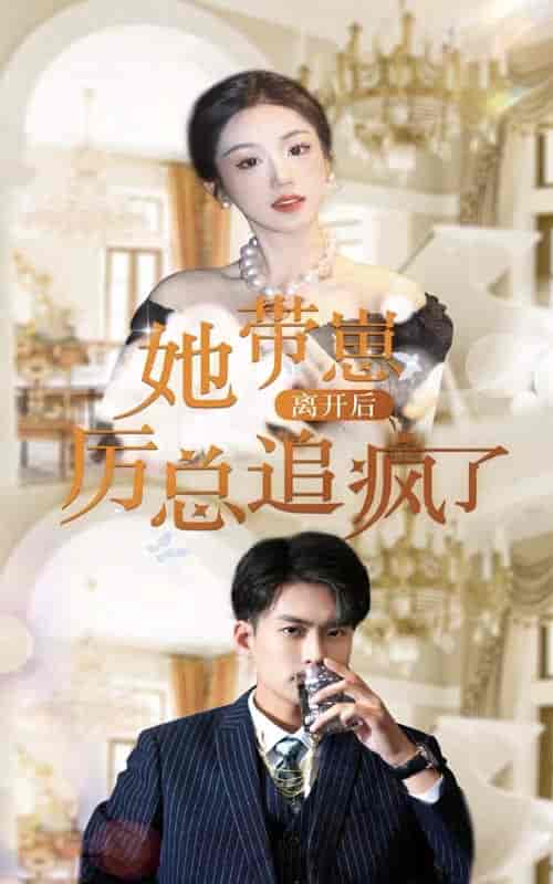 她带崽离开后，历总追疯了（90集）-紫橙资源网