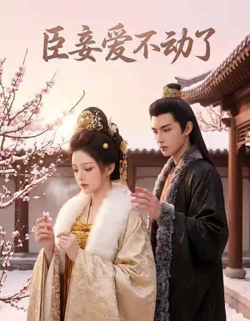 臣妾爱不动了（40集全）AI-紫橙资源网