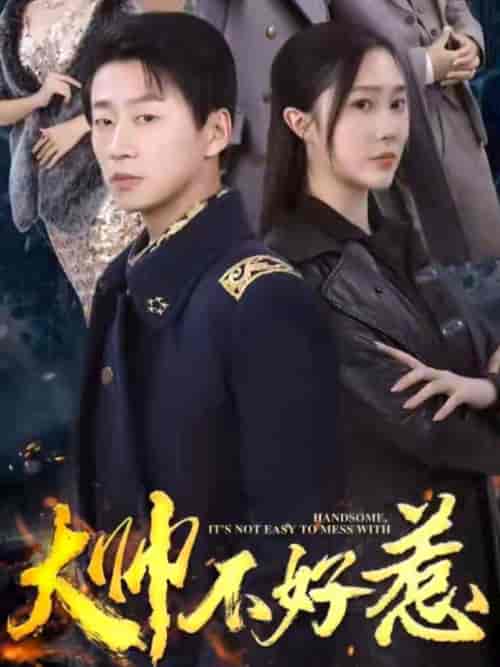 大帅不好惹（79集）樊纾宁-紫橙资源网