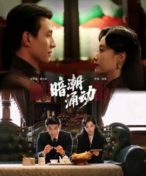 暗潮涌动(60集全)刘萧旭&王小亿-紫橙资源网