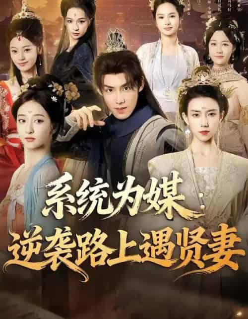 系统为媒:逆袭路上遇贤妻(71集全)林永炬&修雨秀-紫橙资源网