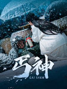 丐神（90集全）-紫橙资源网