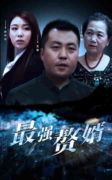 最强赘婿（80集）-紫橙资源网