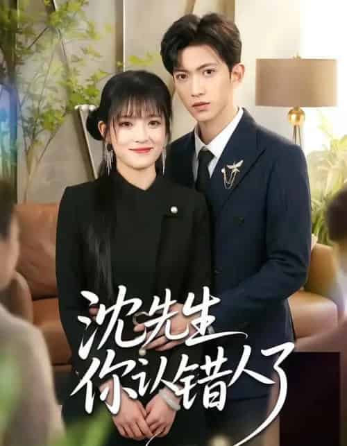 沈先生你认错人了（51集全）孙敬东＆周艺凝-紫橙资源网
