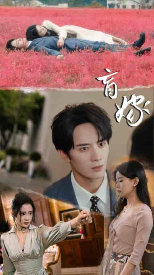 盲嫁（74集）陈冠峄＆陆姝含-紫橙资源网