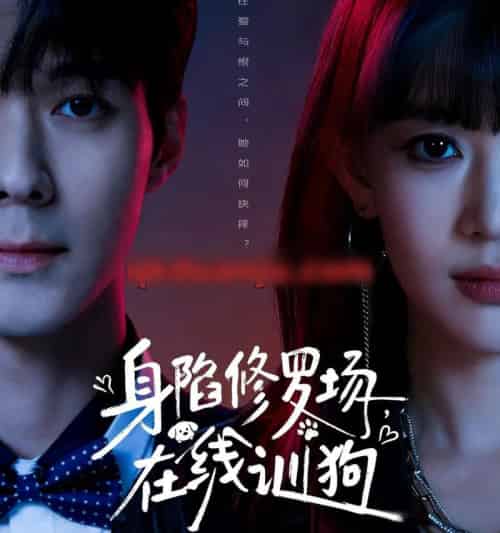 身陷修罗场，在线训狗（81集全）李佳明＆成梓宁-紫橙资源网