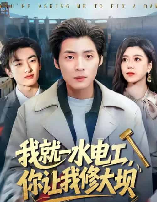 我就一水电工，你让我修大坝（65集全）徐浩＆陈汶汐-紫橙资源网