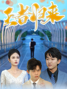 王者归来（41集全）-紫橙资源网