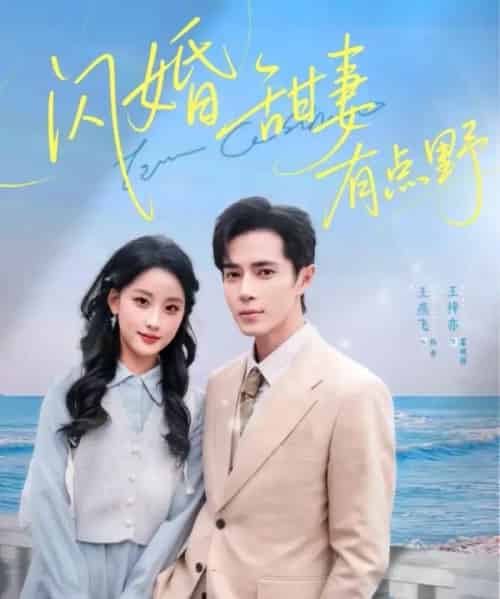 闪婚甜妻有点野（89集全）王梓亦＆王燕飞-紫橙资源网