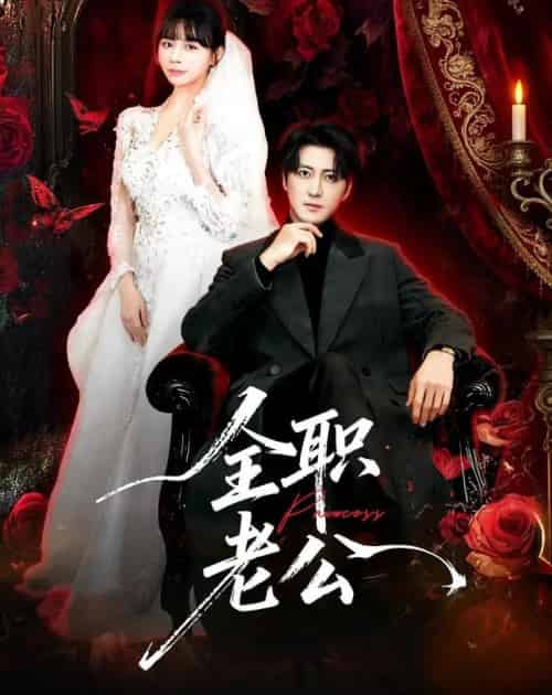 全职老公（60集全）李岩松＆卢巧-紫橙资源网