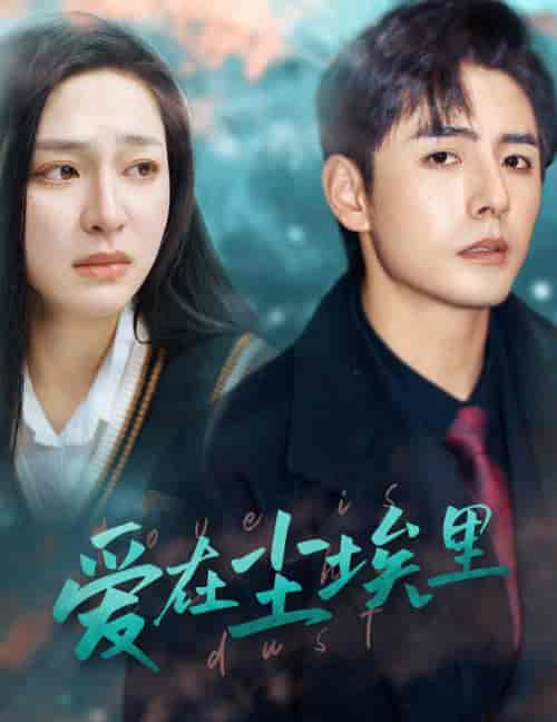 爱在尘埃里（77集）-紫橙资源网