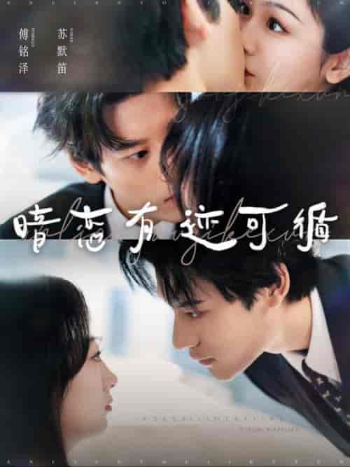 暗恋有迹可循（101集全）秦伟制＆田苗苗-紫橙资源网