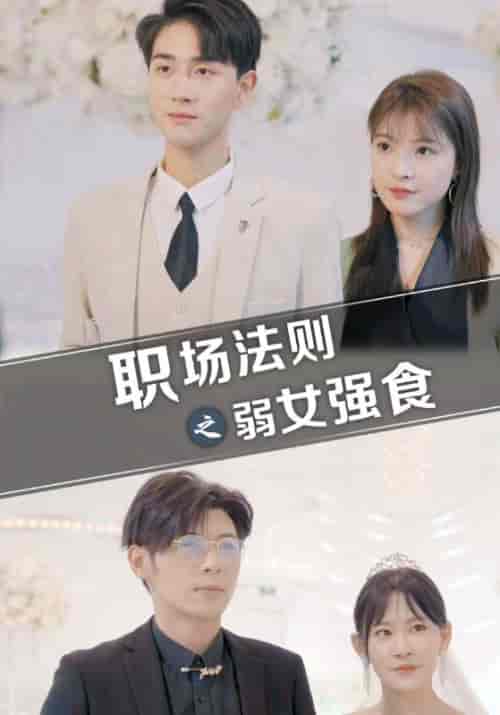 职场法则之弱女强食(83集全)孟宴辰&李心悠-紫橙资源网