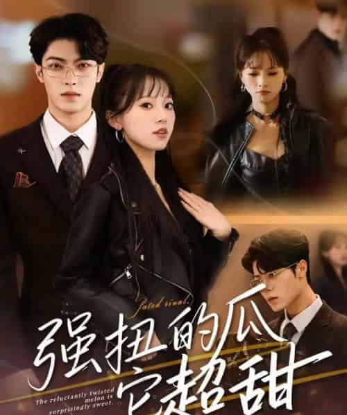强扭的瓜它超甜（70集全）付琳琅＆贾馨雨-紫橙资源网