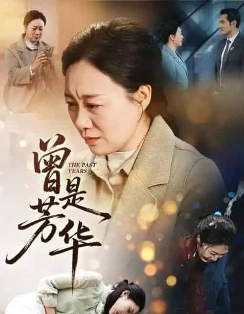 曾是芳华（60集全）庄园＆驰恩尘-紫橙资源网