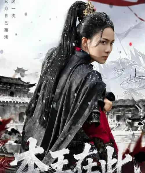 本王在此（72集全）童家豪＆苏寰-紫橙资源网