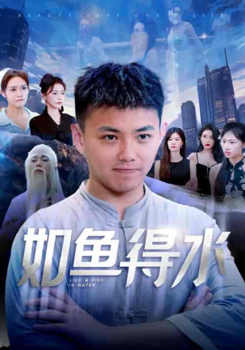 如鱼得水＆美女饶命（74集）刘峰硕 吴玥子-紫橙资源网