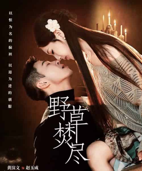野草焚尽（74集全）黄渲文＆戚羽佳-紫橙资源网
