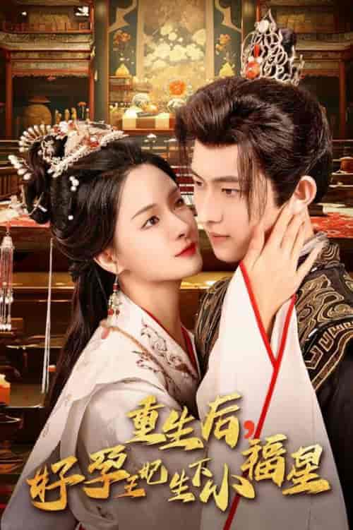 重生后，好孕王妃生下小福星（53集全）孟娜＆陈添祥-紫橙资源网