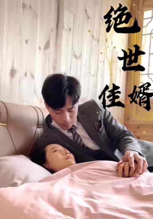 绝世佳婿（100集全）叶祖城＆王家蕊-紫橙资源网