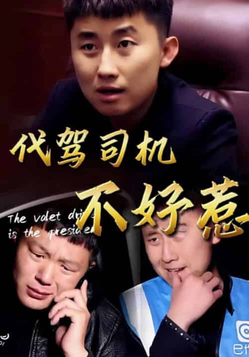 代驾司机不好惹（33集全）朱俊瀚＆婷婷-紫橙资源网