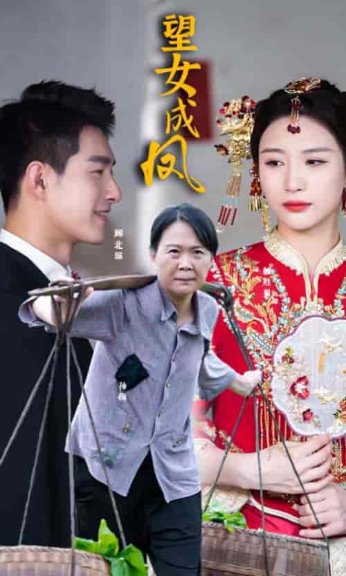 望女成凤（74集）-紫橙资源网