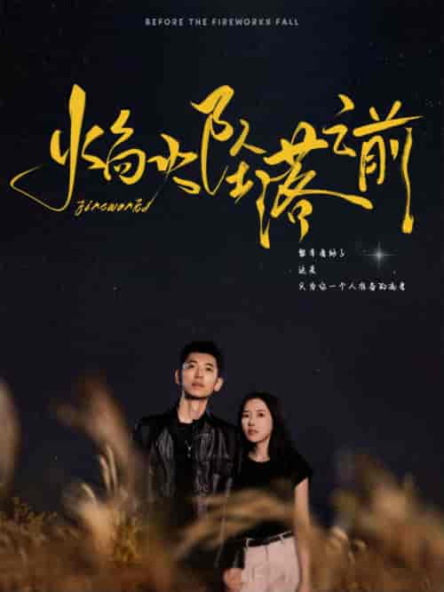 焰火坠落之前（99集全）辛润茜-紫橙资源网