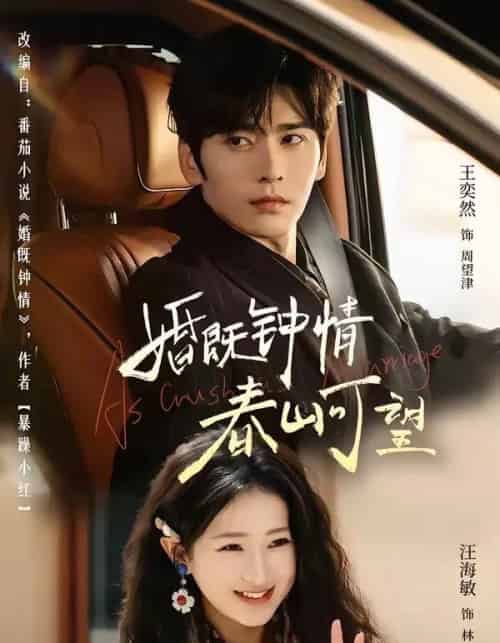 婚既钟情，春山可望＆热恋，从新婚开始（91集全）王奕然＆汪海敏-紫橙资源网