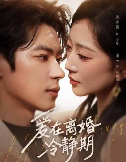爱在离婚冷静期(73集全)董一&姚宇晨-紫橙资源网