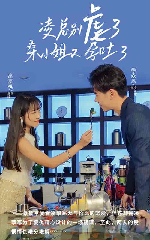 凌总别虐了桑小姐又吐了（102集）-紫橙资源网