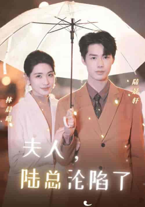 夫人,陆总沦陷了(18集)陆景轩&林晨曦-紫橙资源网